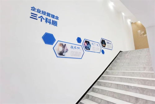 美好升級，煥新品牌 以技術(shù)服務驅(qū)動企業(yè)轉(zhuǎn)型